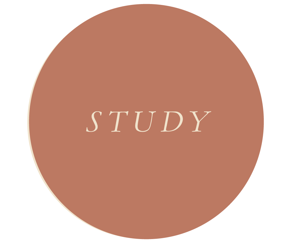 Study